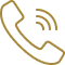 Phone Icon